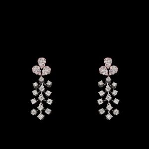 Admiring Drop Earrings