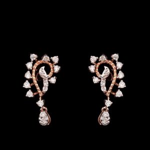 Enclosed Drop Earrings