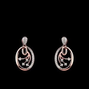 Swish wish Drop Earrings