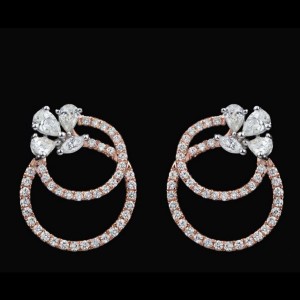 Stroke Encirlce Drop Earrings